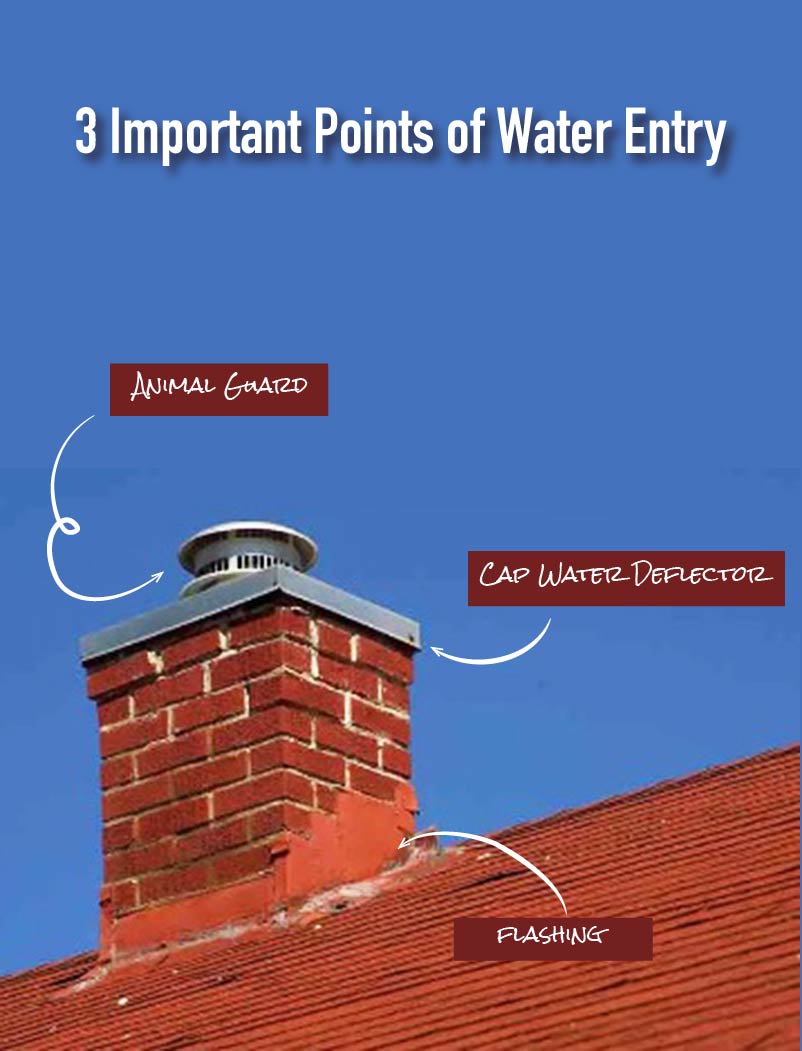 waterentry Image of the 3 important points of water entry- Animal guard, cap water deflector, and flashing.